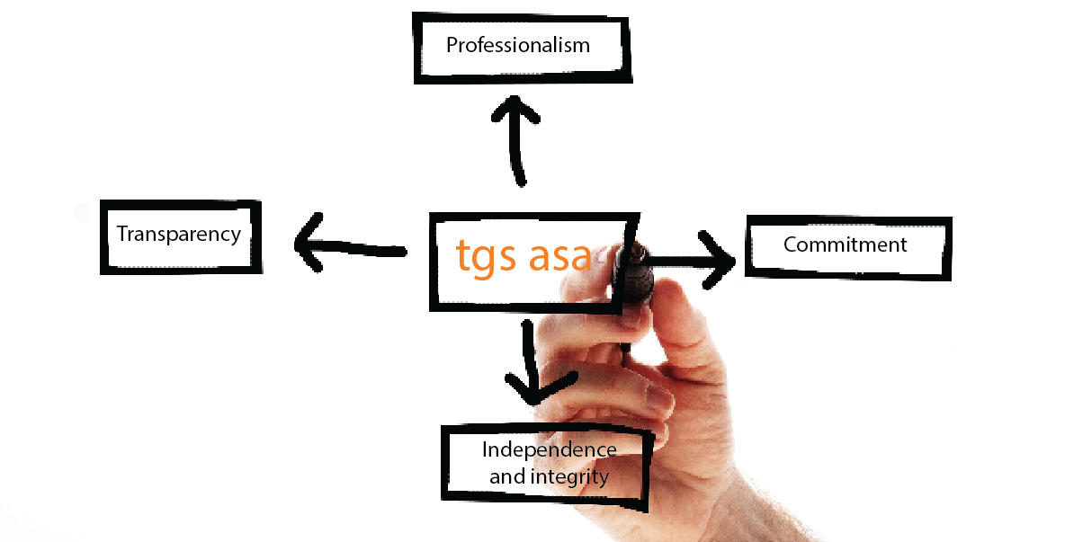 TGS ASA Auditoria e Revisão de Contas